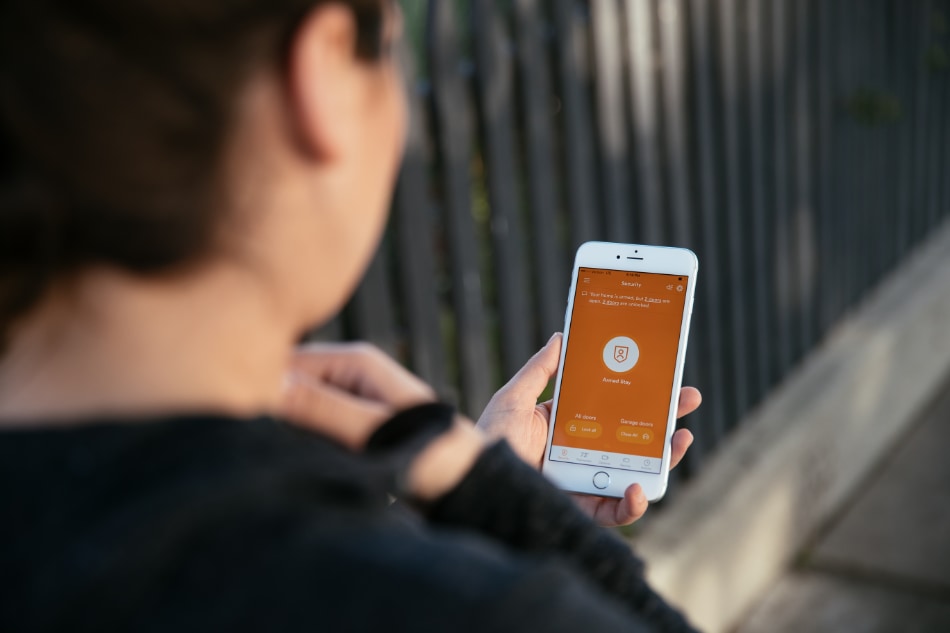 Amelia  security system